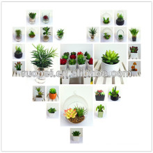 Lifelike high quality mini succulent for home decorative